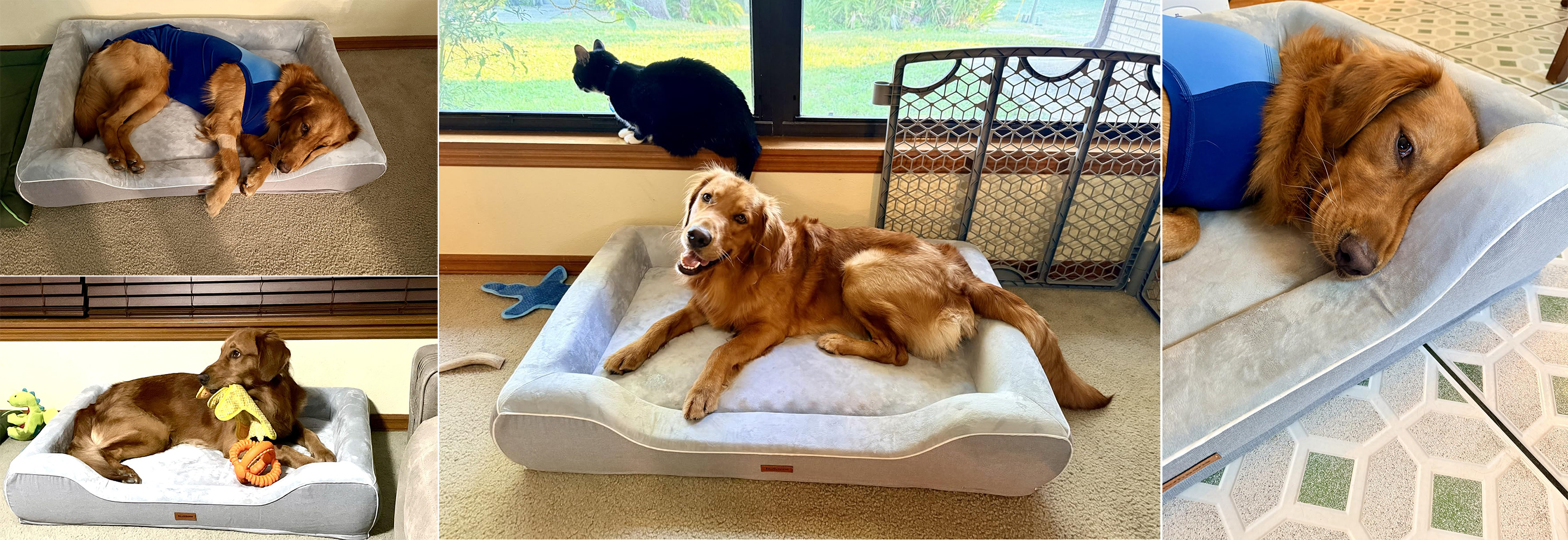 dog sofa, kennel, dog bed, bone shaped dog bed, pet supplies，