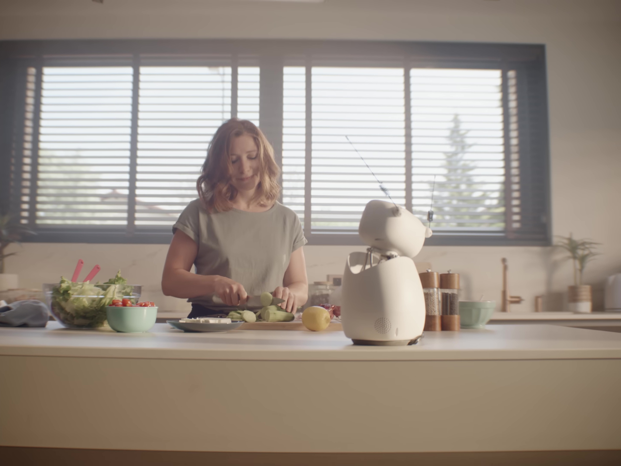 accompany type，robot，Reachy Mini，Desktop AI，Python programming，