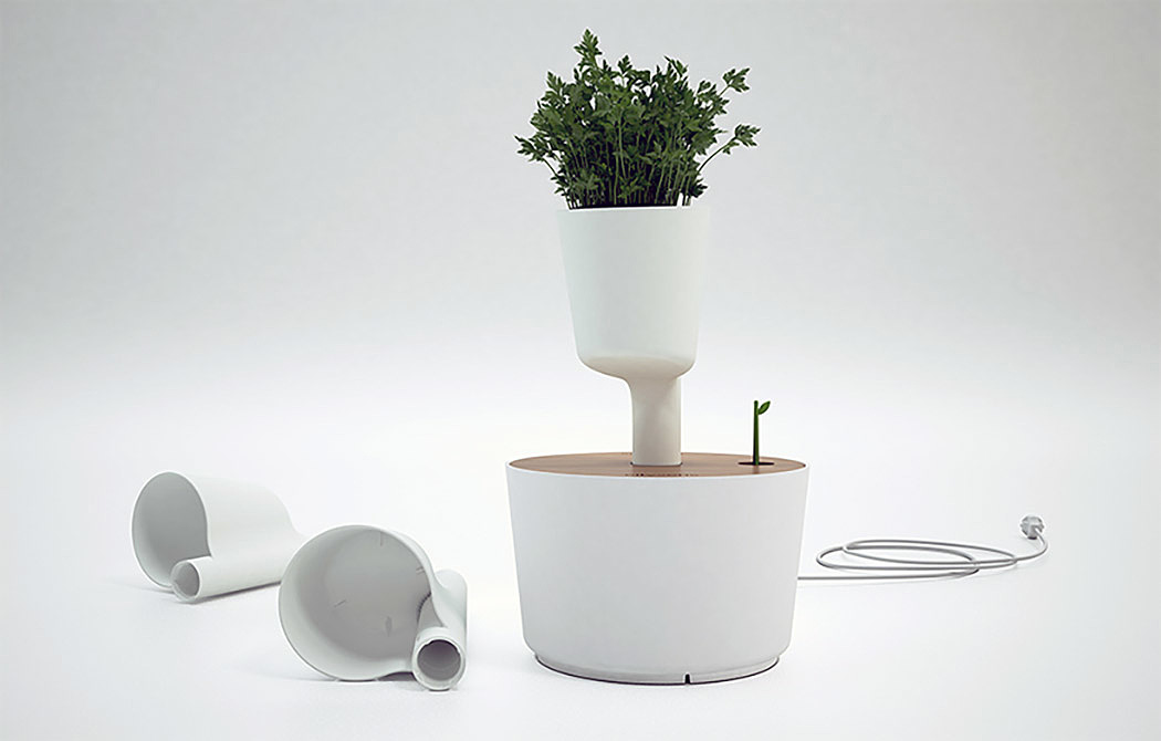 Citysens，Home Furnishing，decorate，Flowerpot，Potted plants，