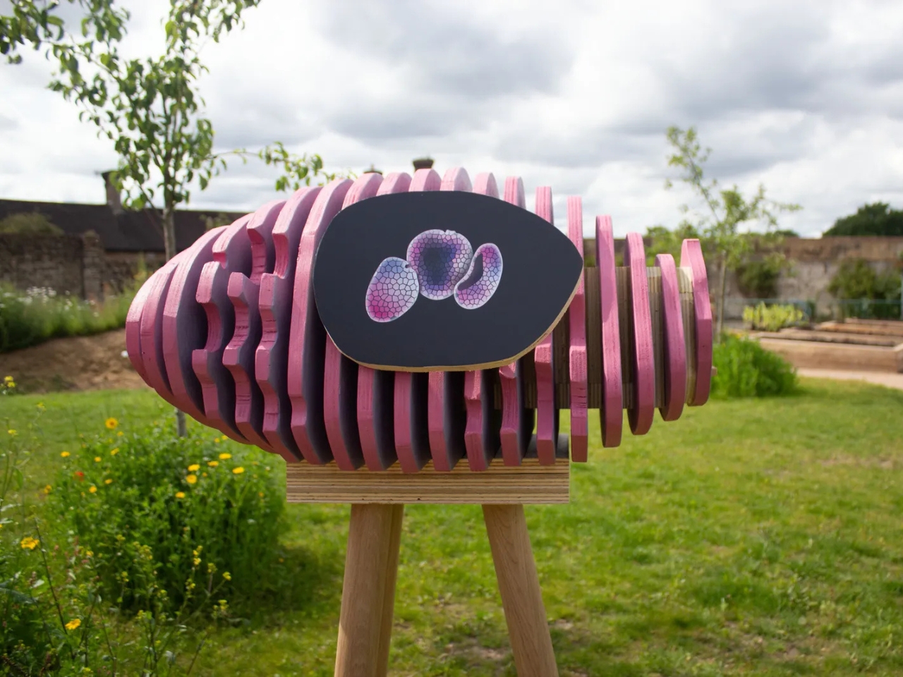 Seed Stories，Public art ，Bamboo frame，natural beehive，beeswax，