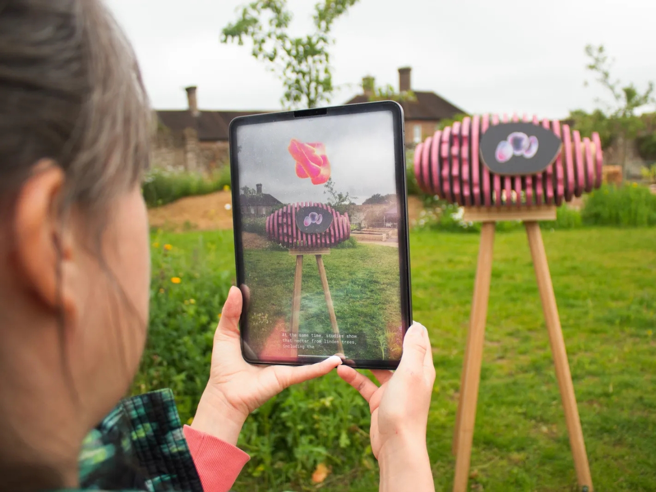 Seed Stories，Public art ，Bamboo frame，natural beehive，beeswax，