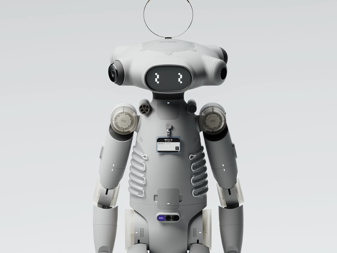 Dual HUD Head Display，360°，Home Security，Companion robot，