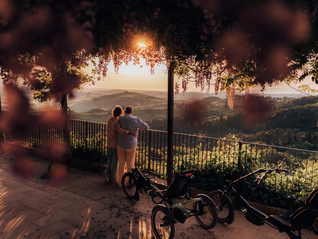 Electric assistance，Tricycle，HP Velotechnik，Outdoor Ride，Three-point adjustable，