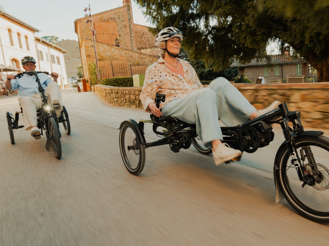 Electric assistance，Tricycle，HP Velotechnik，Outdoor Ride，Three-point adjustable，