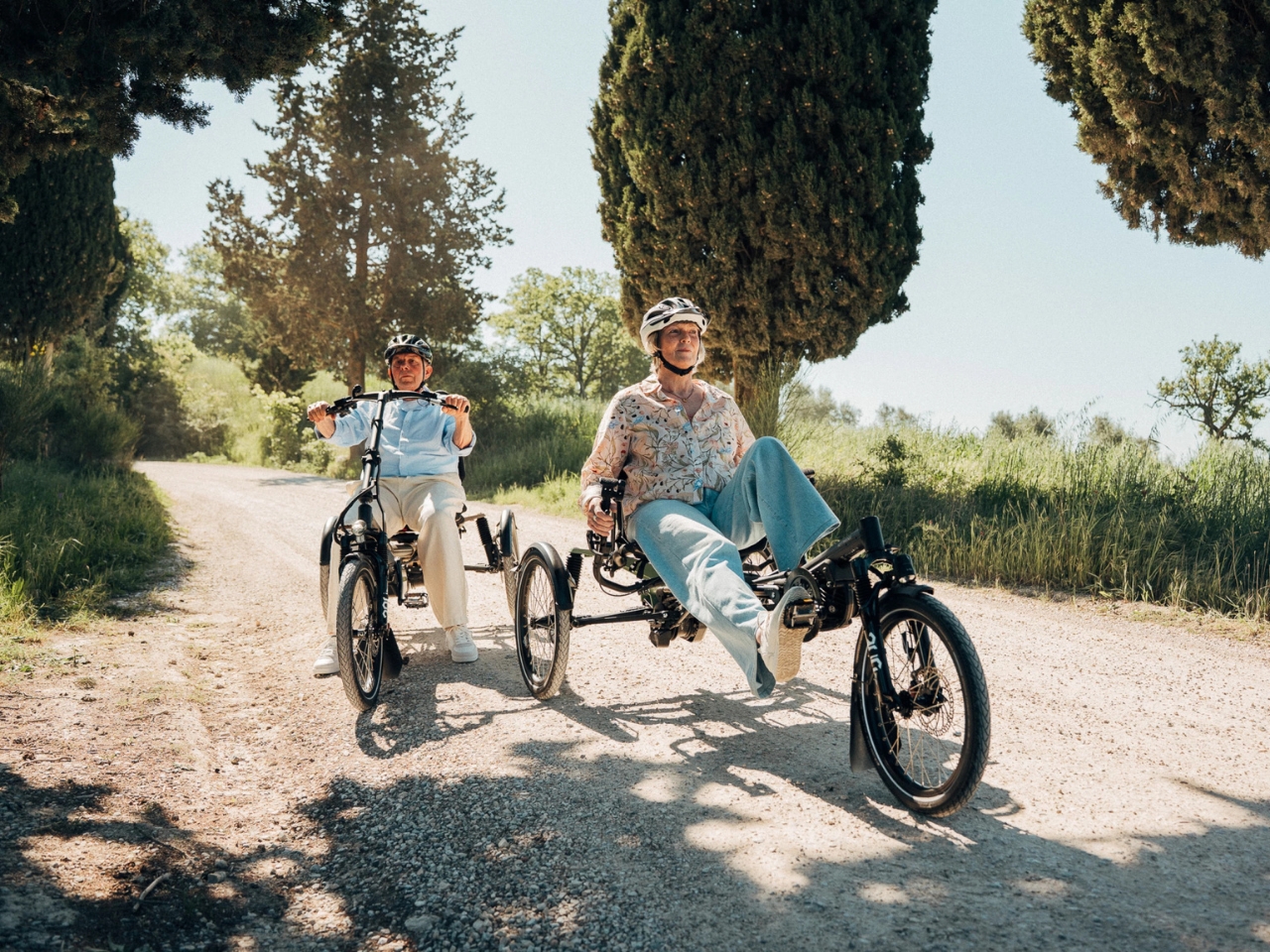 Electric assistance，Tricycle，HP Velotechnik，Outdoor Ride，Three-point adjustable，