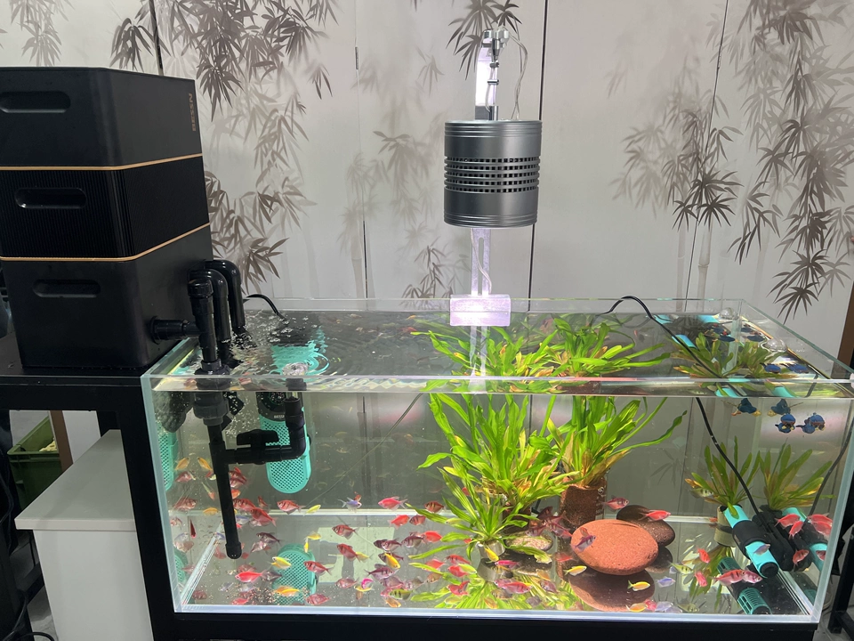 Fish tank filter，Aquarium products，Fish tank filtration，