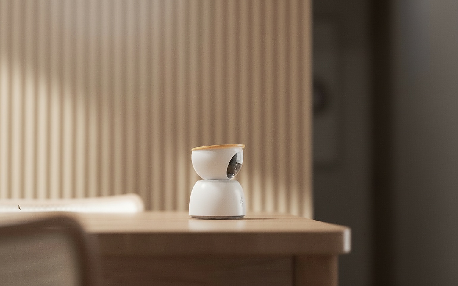 camera，Home，guard，accompany，