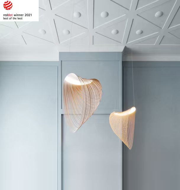 Red dot award，Award declaration，design awards ，Red Dot Award Declaration，product design，