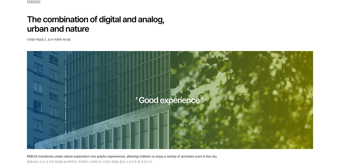 REBUG，Brand design，Brand promotion，graphic design ，