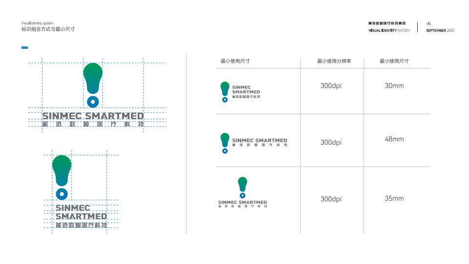 VI design，Enterprise Visual Design，Logo design，vis visual design，