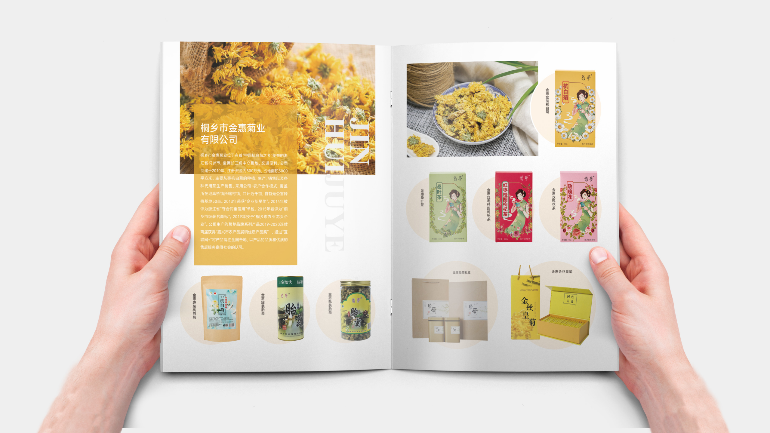 Manual design，Brochure Design ，Publicity design，Folding design，