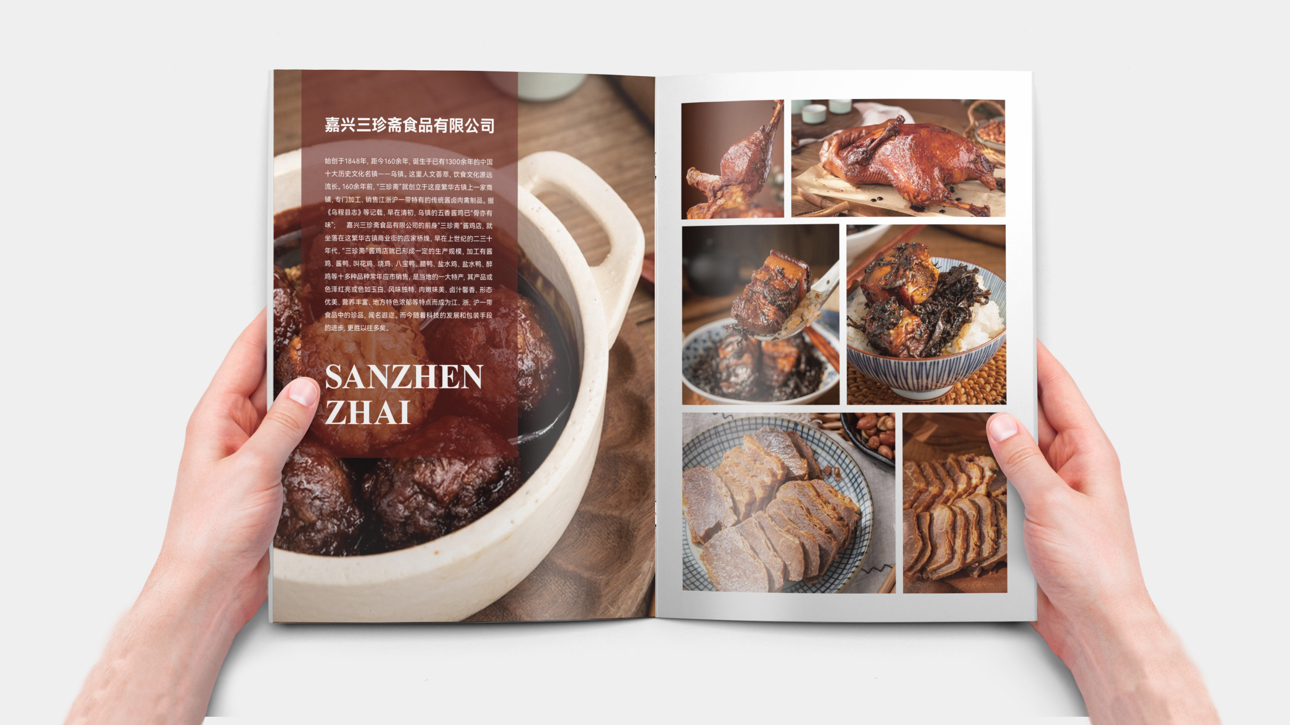 Manual design，Brochure Design ，Publicity design，Folding design，