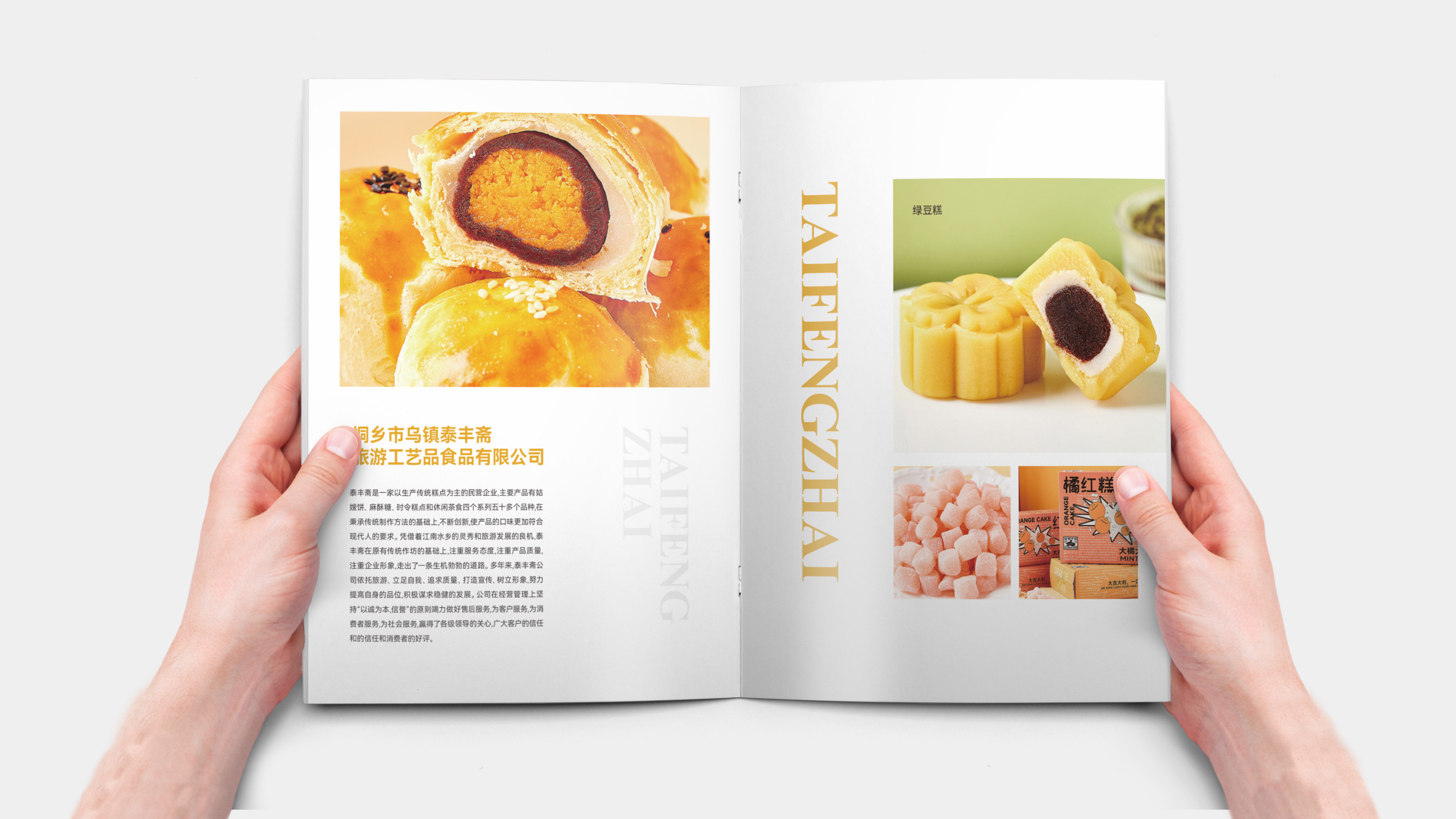 Manual design，Brochure Design ，Publicity design，Folding design，