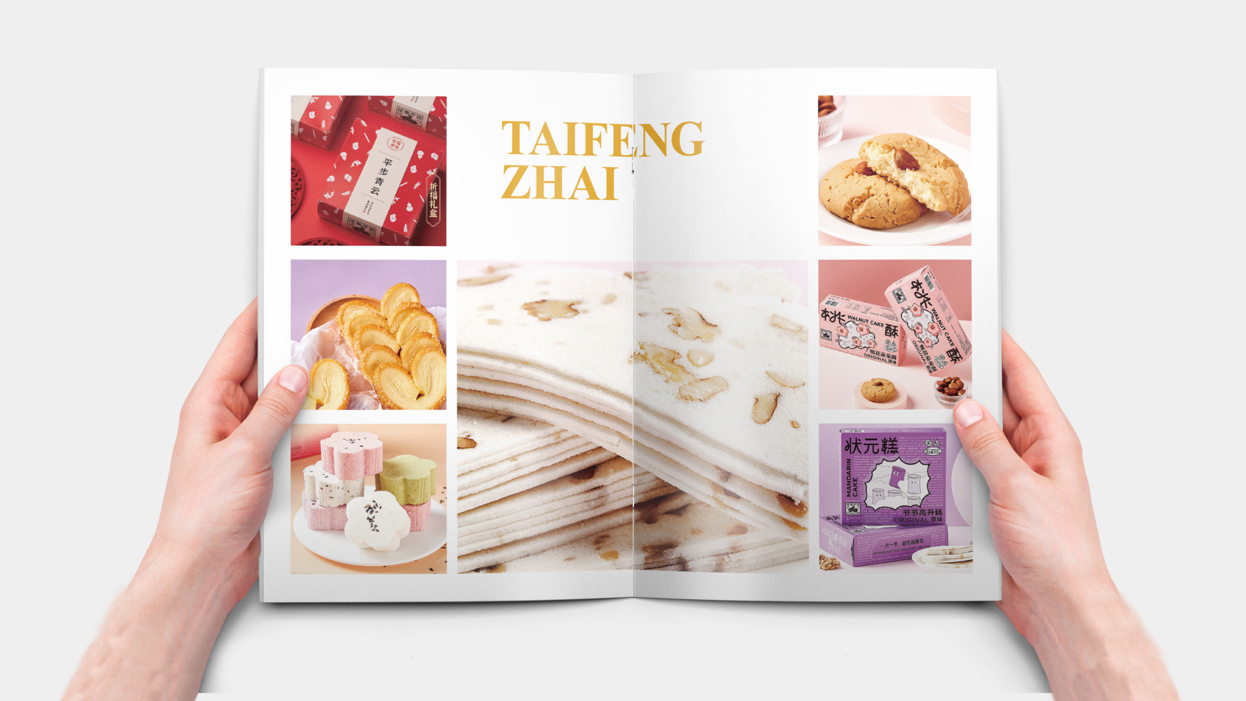 Manual design，Brochure Design ，Publicity design，Folding design，