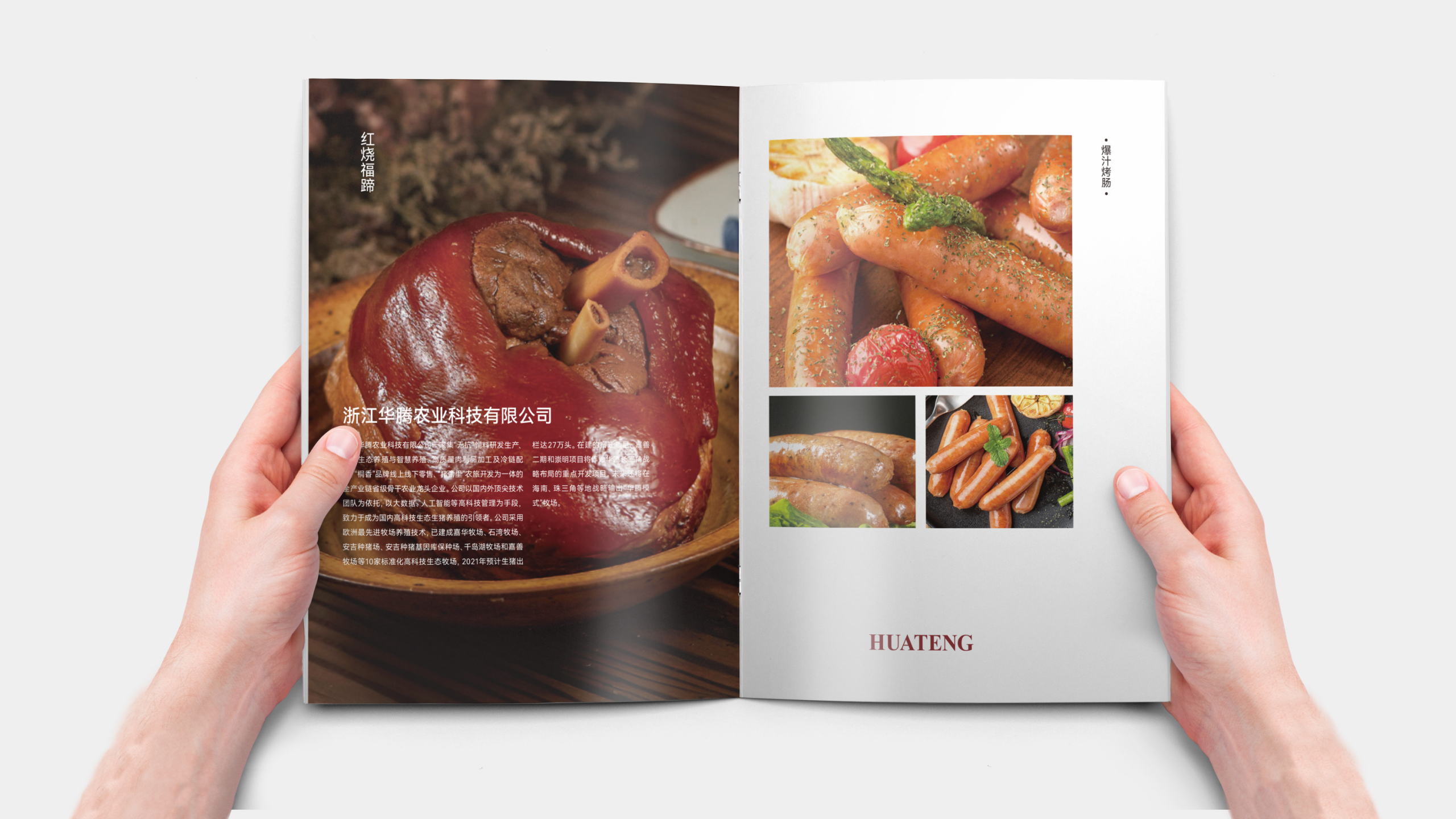 Manual design，Brochure Design ，Publicity design，Folding design，