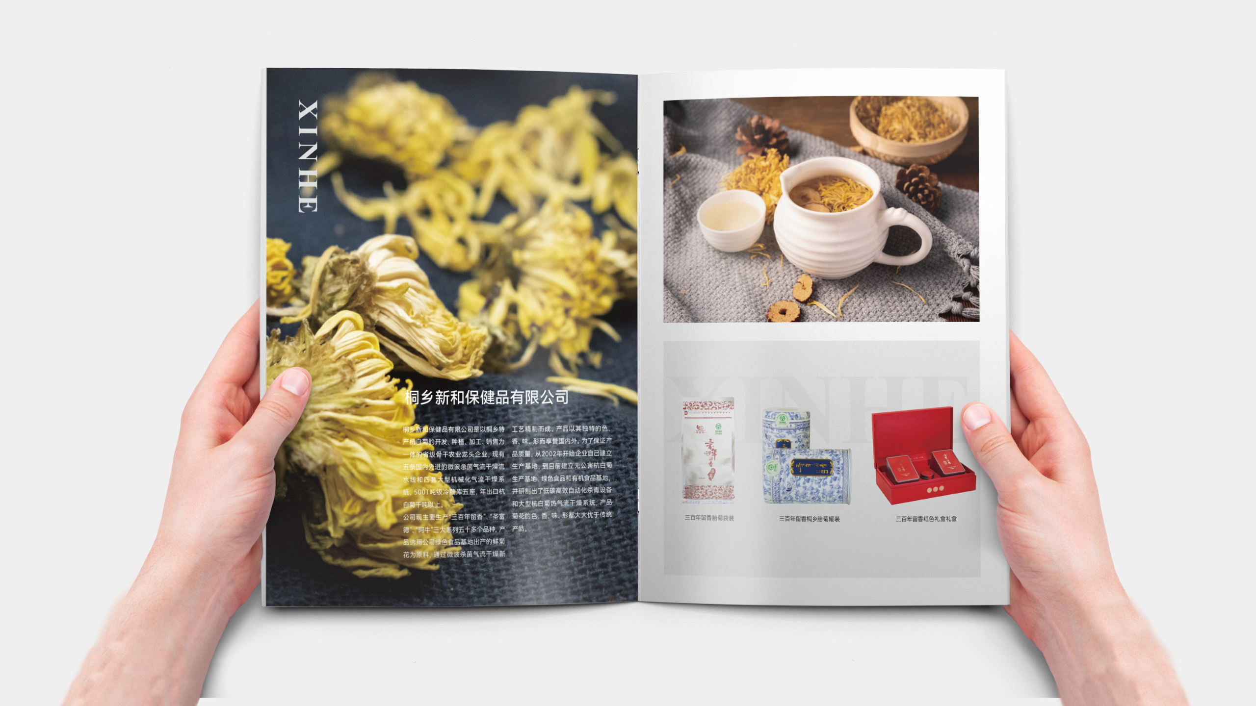 Manual design，Brochure Design ，Publicity design，Folding design，