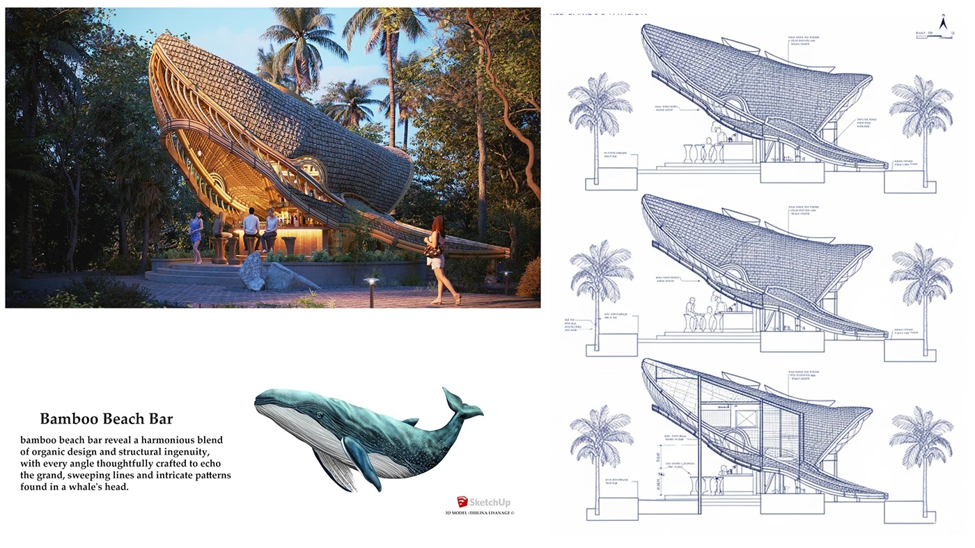 yoga，Rest place，health preservation，physical exercise，