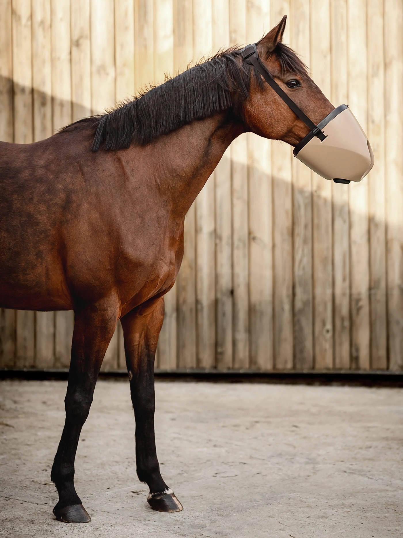 Equihero，face shield，earthy tones，Veterinary instruments，