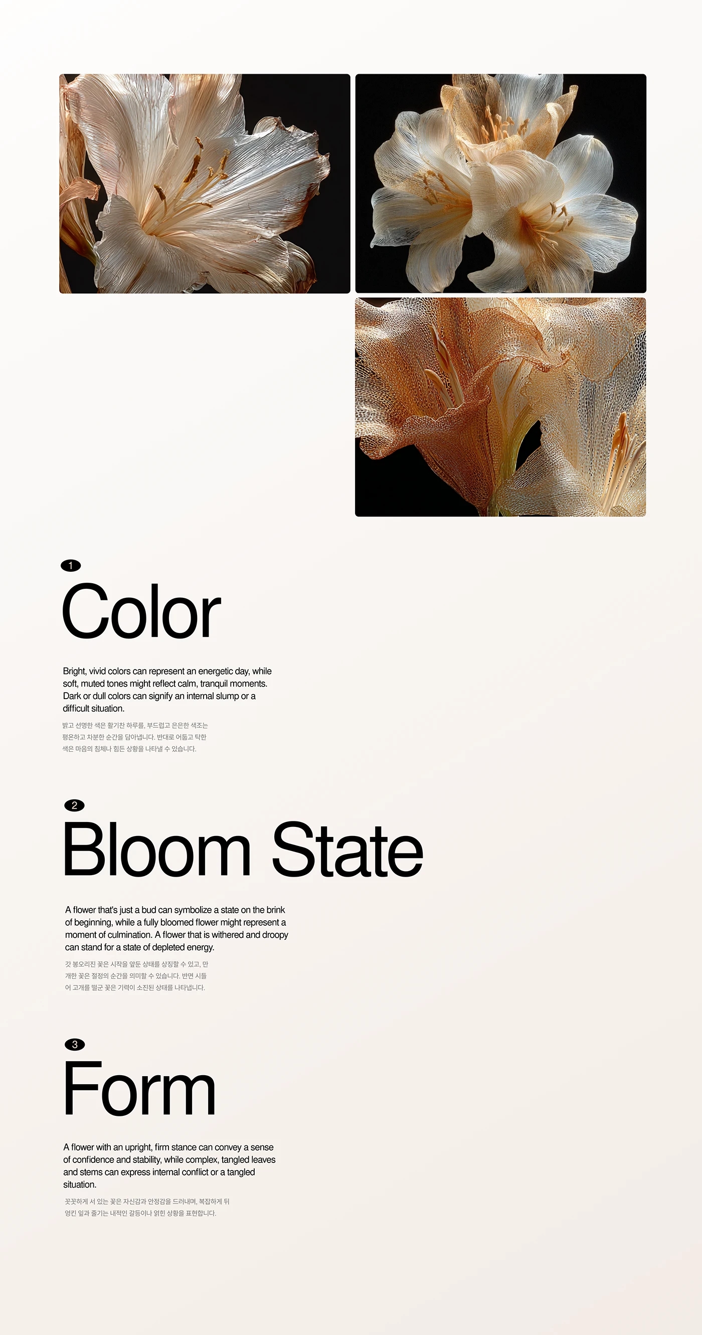 Atham，Emotional data，Daily Reflections，ai，vase，