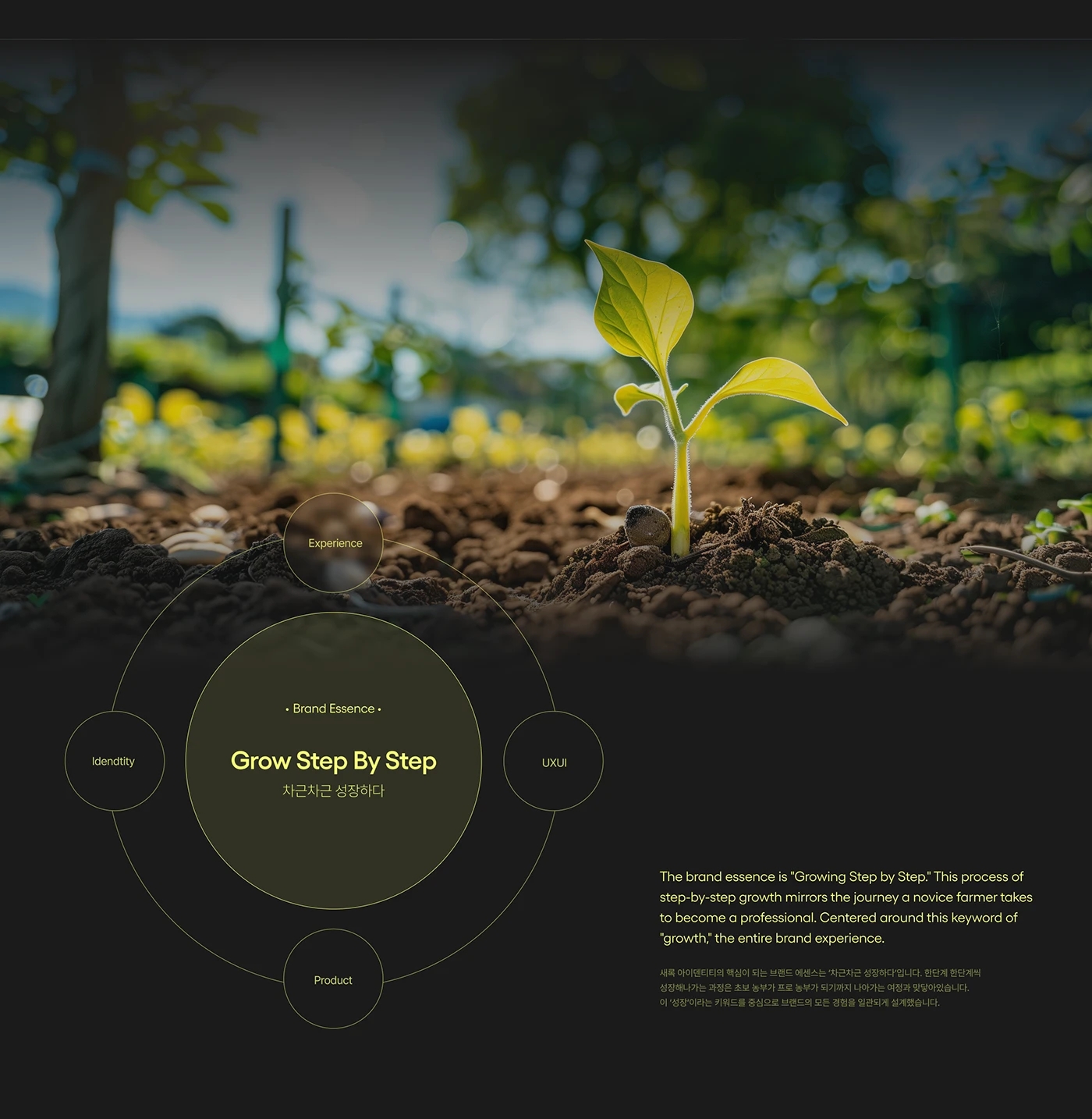 Saerok，Smart Agriculture Platform，AI farming robot，integration of production and marketing，