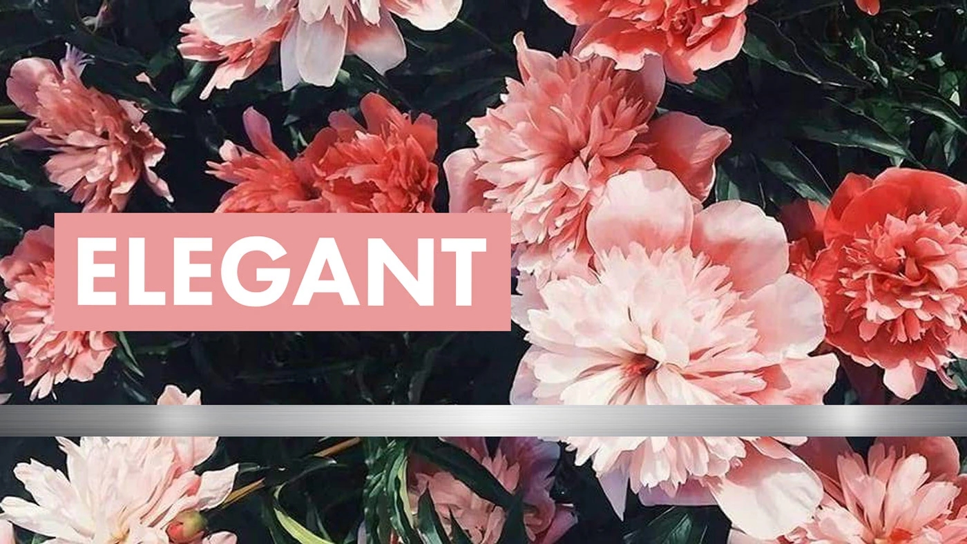 Blazor，razor，Personal protective equipment，originality，