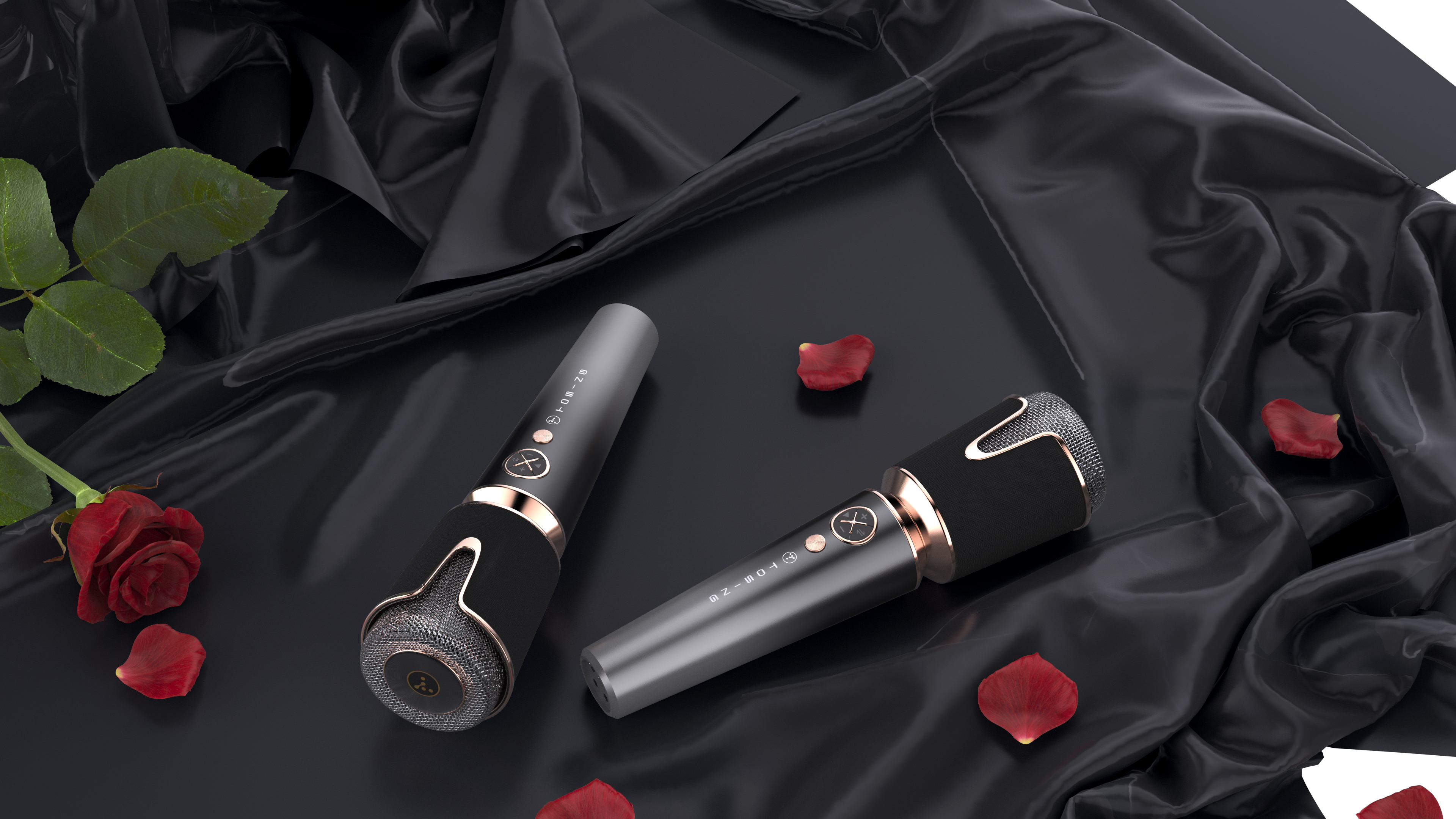 go to karaoke，Microphone，