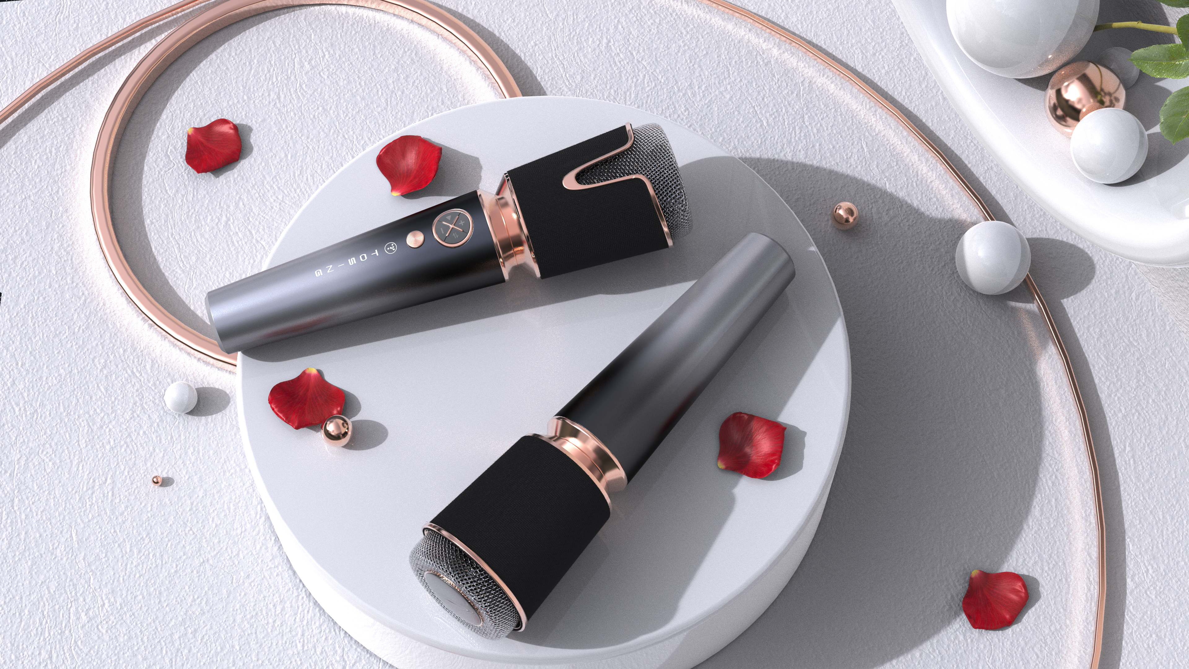 go to karaoke，Microphone，