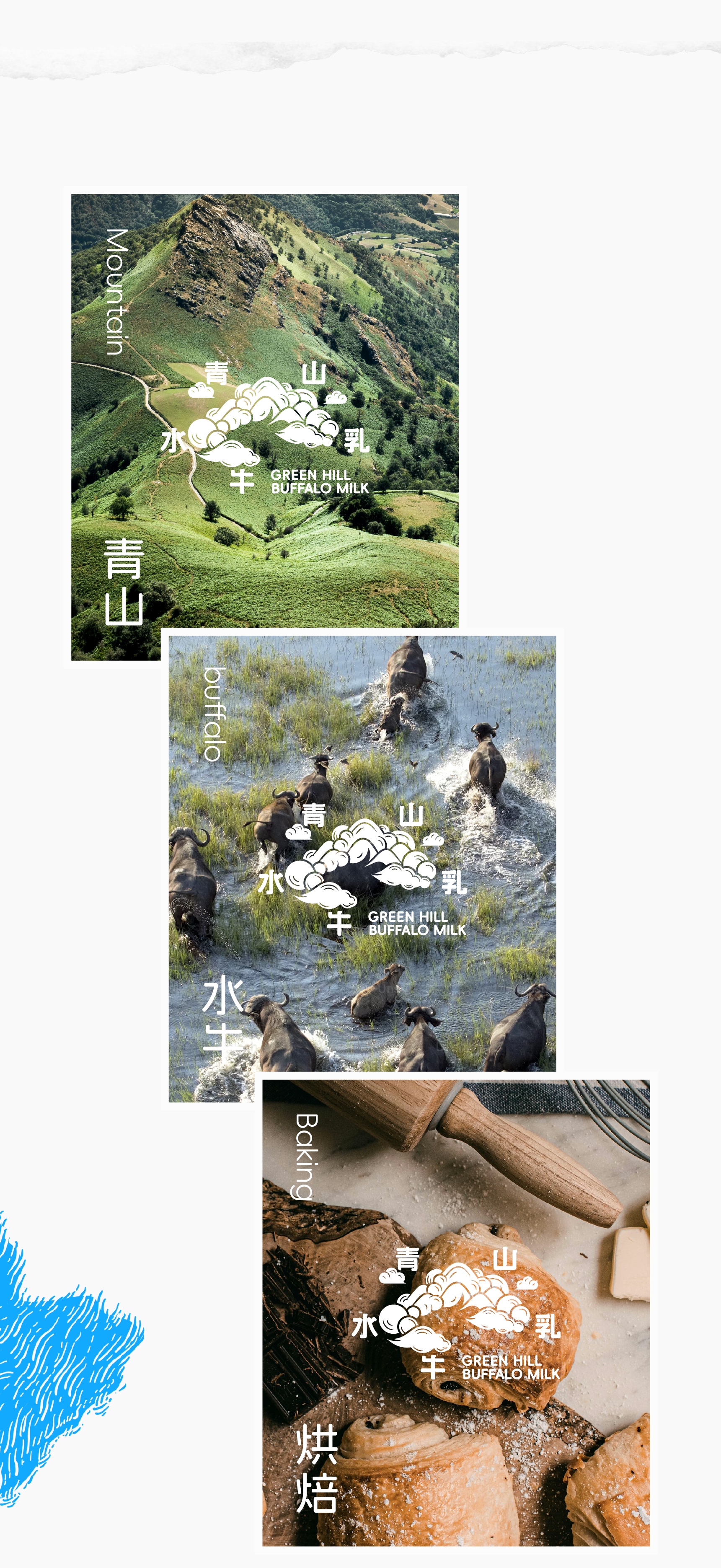 Brand design，packing design，Layout design，Logo design，Baking Brand，Illustration packaging，Three Squirrels，3D rendering，