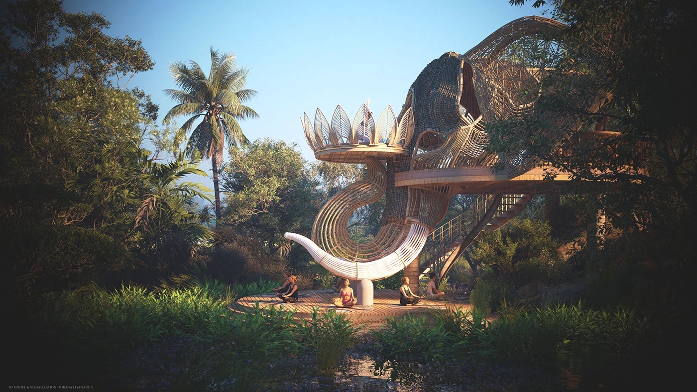 yoga，Open space，outdoor sport，self-cultivation，Surya Namaskar，