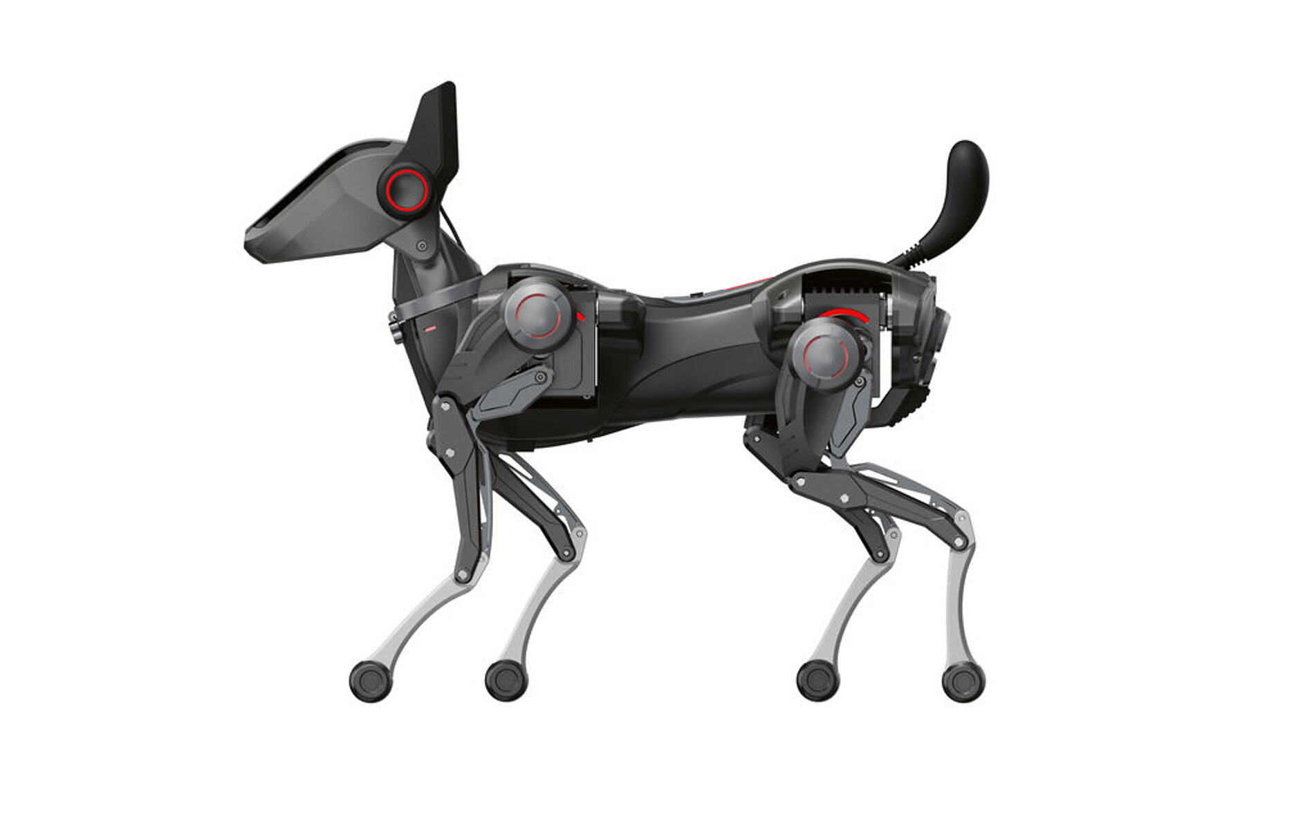 robot，