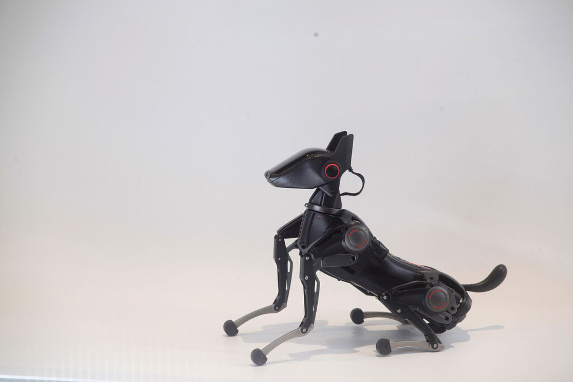 robot，