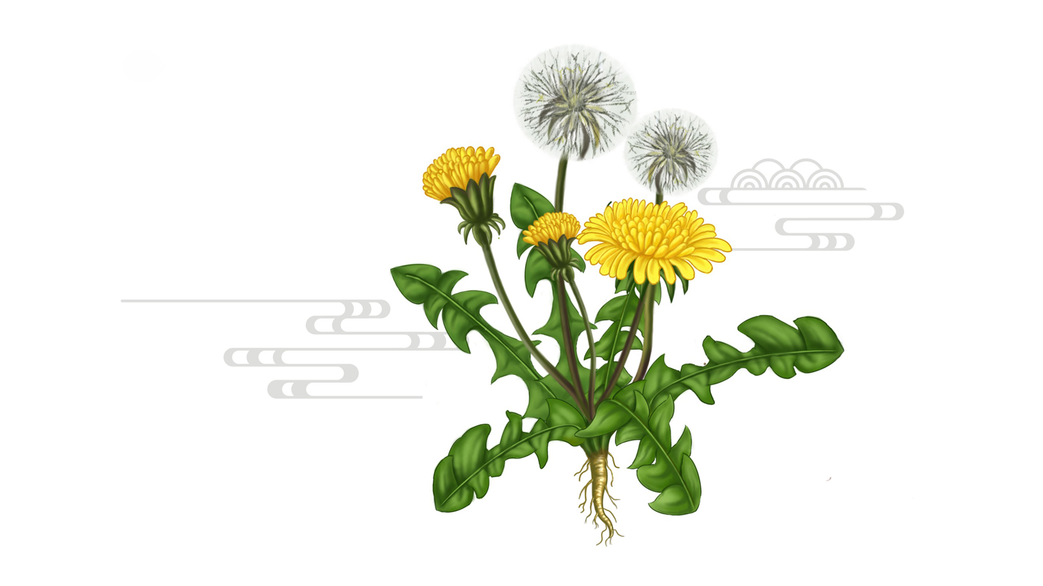 Pudilan anti-inflammatory oral liquid packaging，Packaging Design of Chinese Medicine，Drug packaging design，