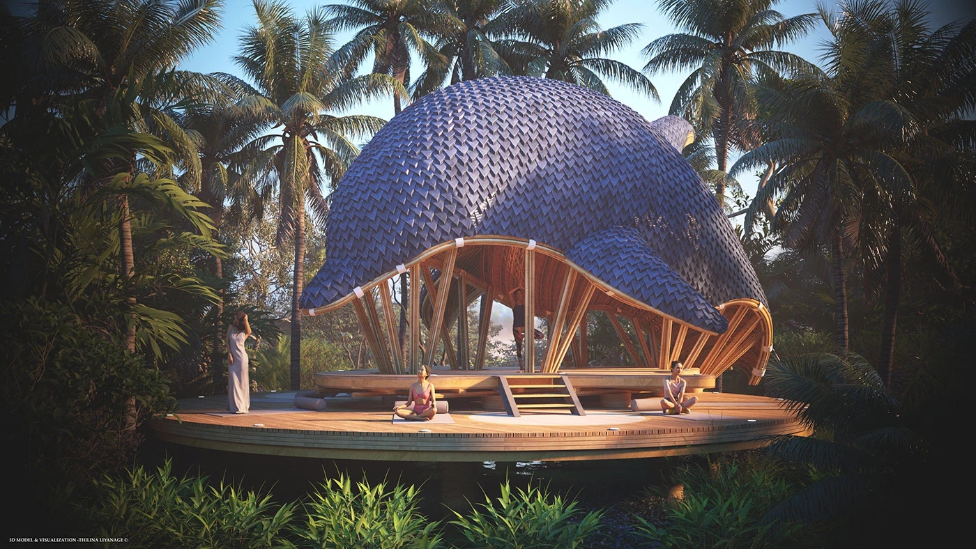 Architecture，environment，DOLPHIN，Interior design，