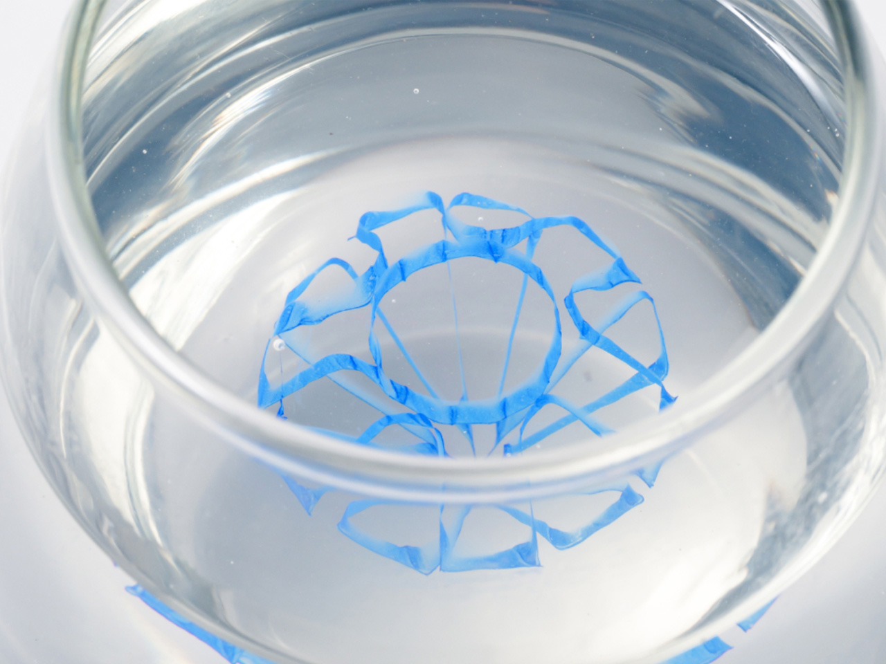 Lidris，artificial intelligence，robot，Digital，