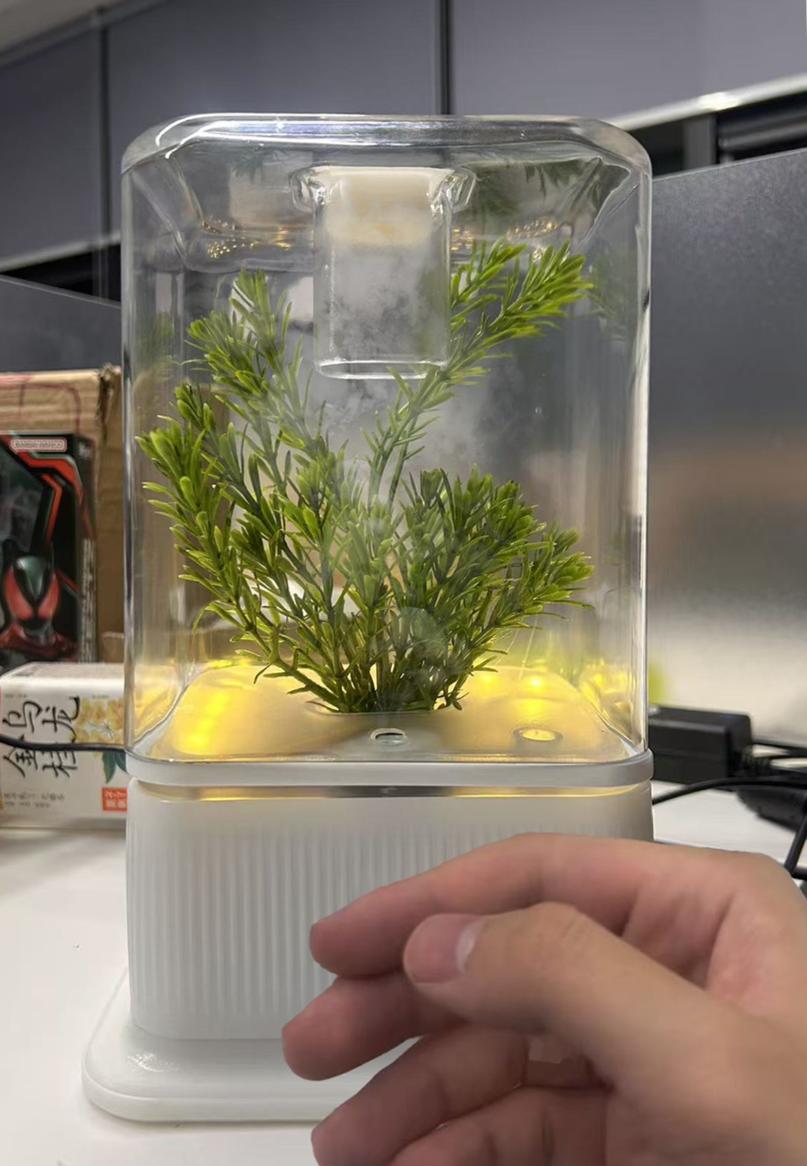 desktop，decompression，cure，Botany，Green plant，