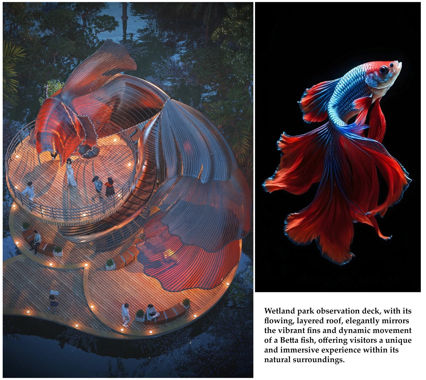 Wetland Park，Rest place，zebra fish，natural ecology，