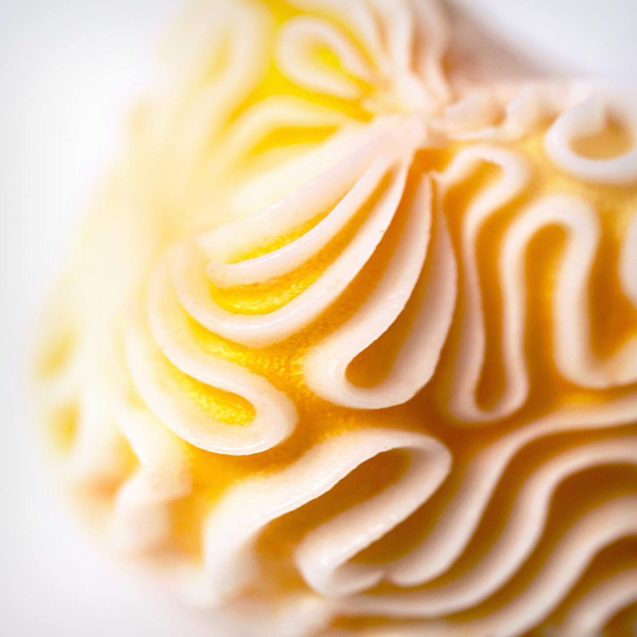 soap，Microbi Design，coral algorithm，Light exfoliation，Water guiding and quick drying，