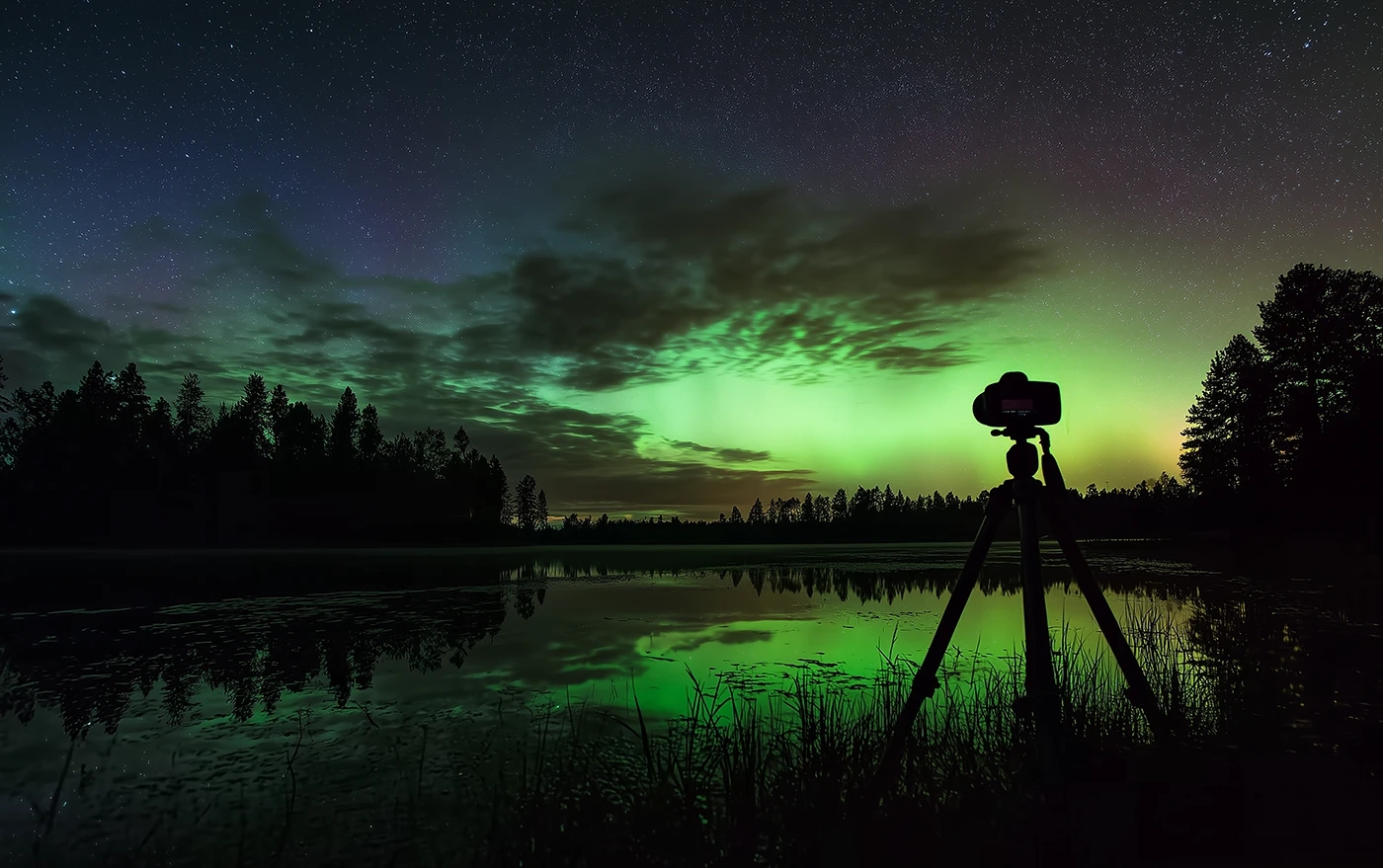 VIA，Digital，Electronic equipment，originality，