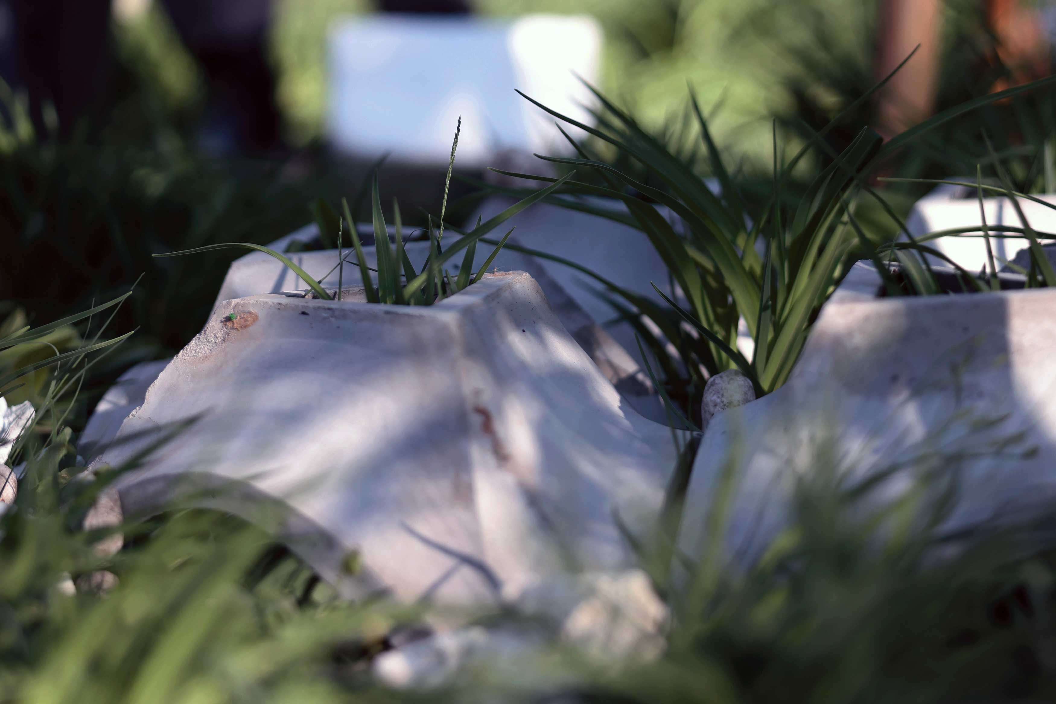 Zhejiang One Point，