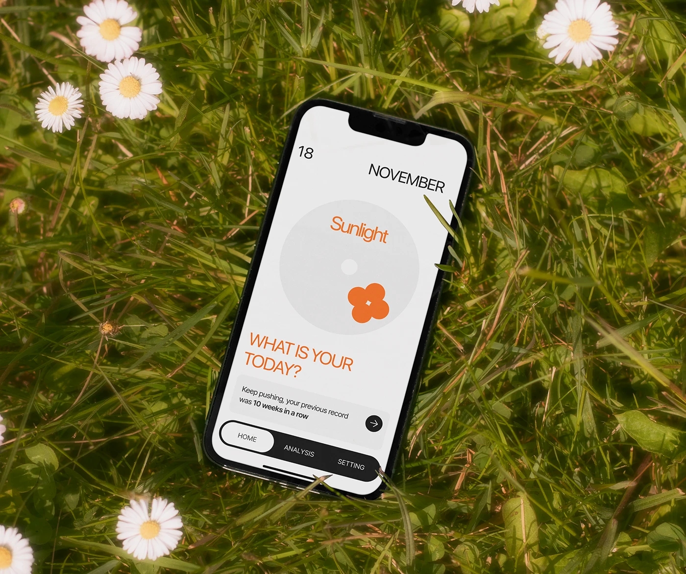 Clover，Housewear & Furnishings，recorder，calendar，