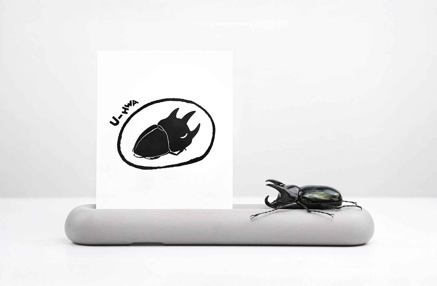 U-HWA，Brand design，Brand promotion，packing design，