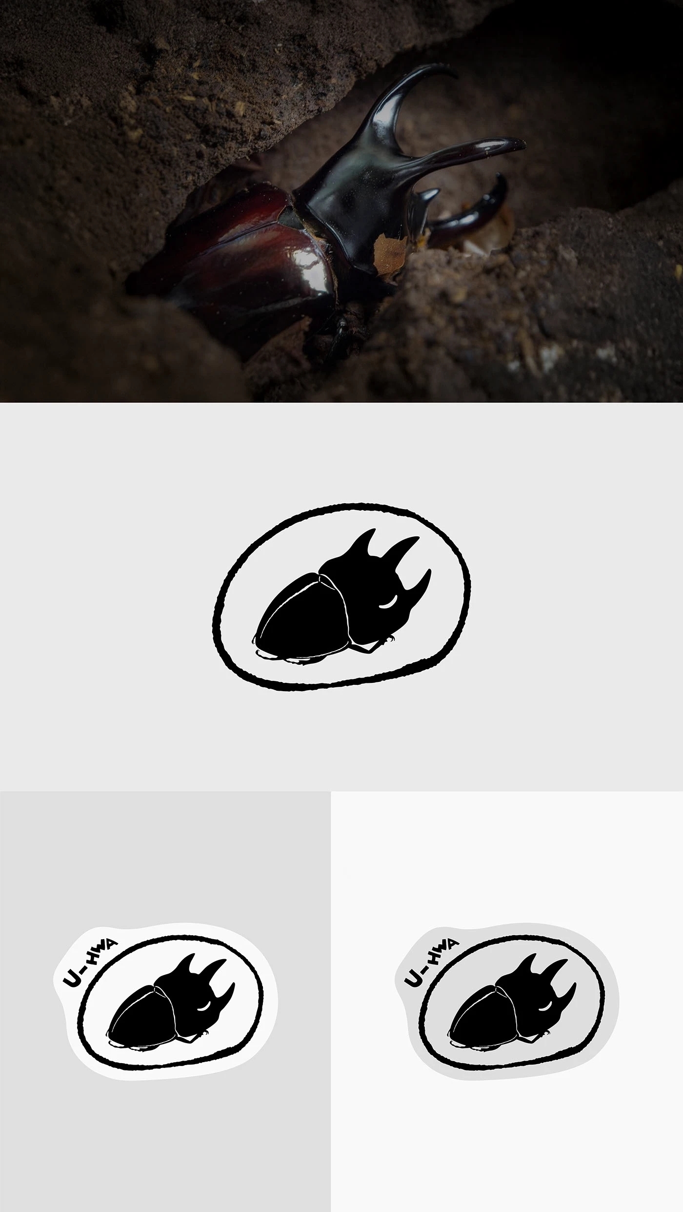 U-HWA，Brand design，Brand promotion，packing design，