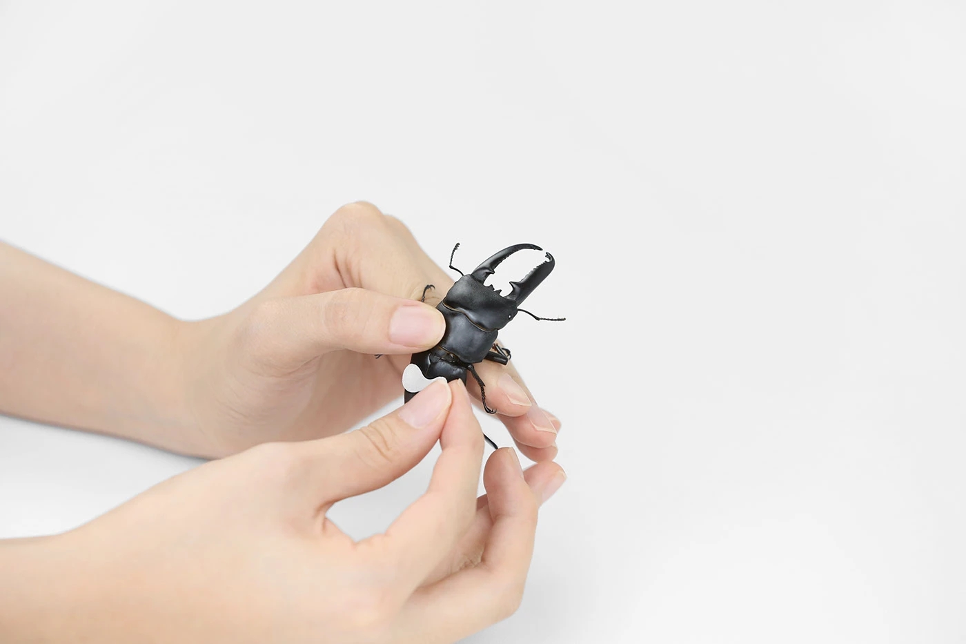 U-HWA，Brand design，Brand promotion，packing design，