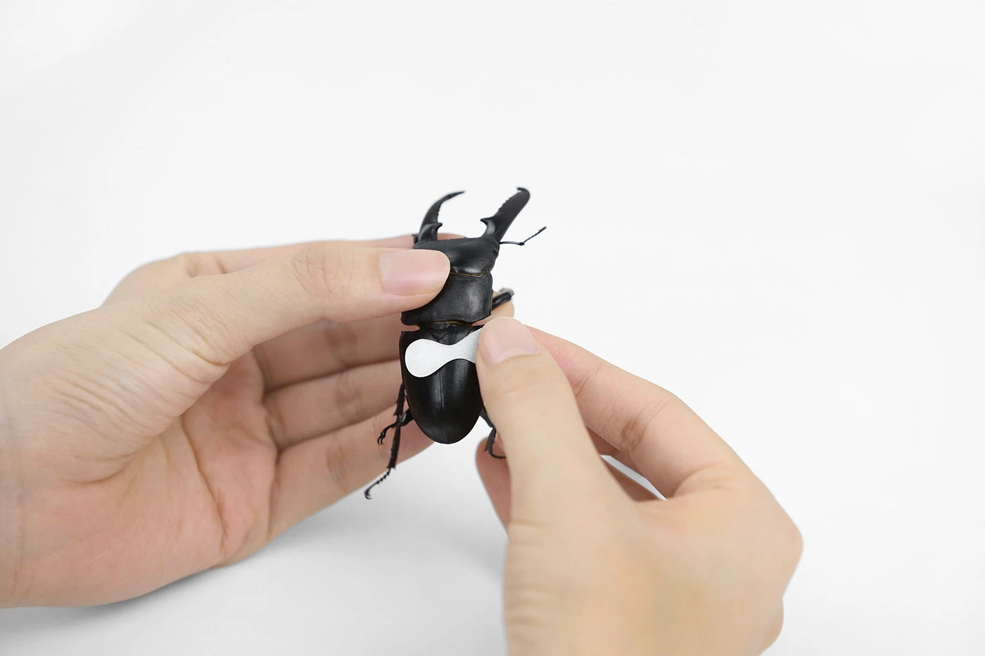 U-HWA，Brand design，Brand promotion，packing design，