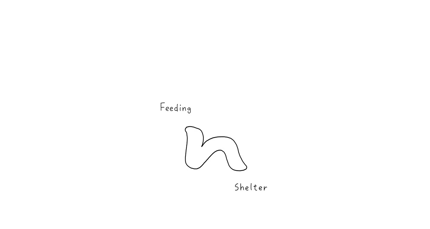 U-HWA，Brand design，Brand promotion，packing design，