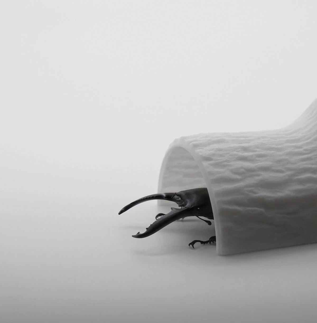 U-HWA，Brand design，Brand promotion，packing design，