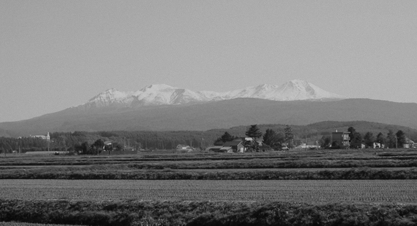 Birddy，swing，Outdoor facilities，Amusement facilities，