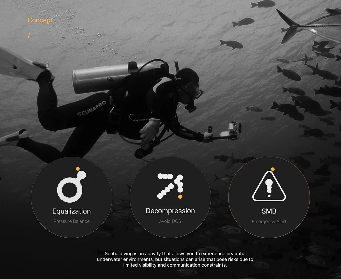 BUDY，Diving equipment，Outdoor equipment，industrial design，