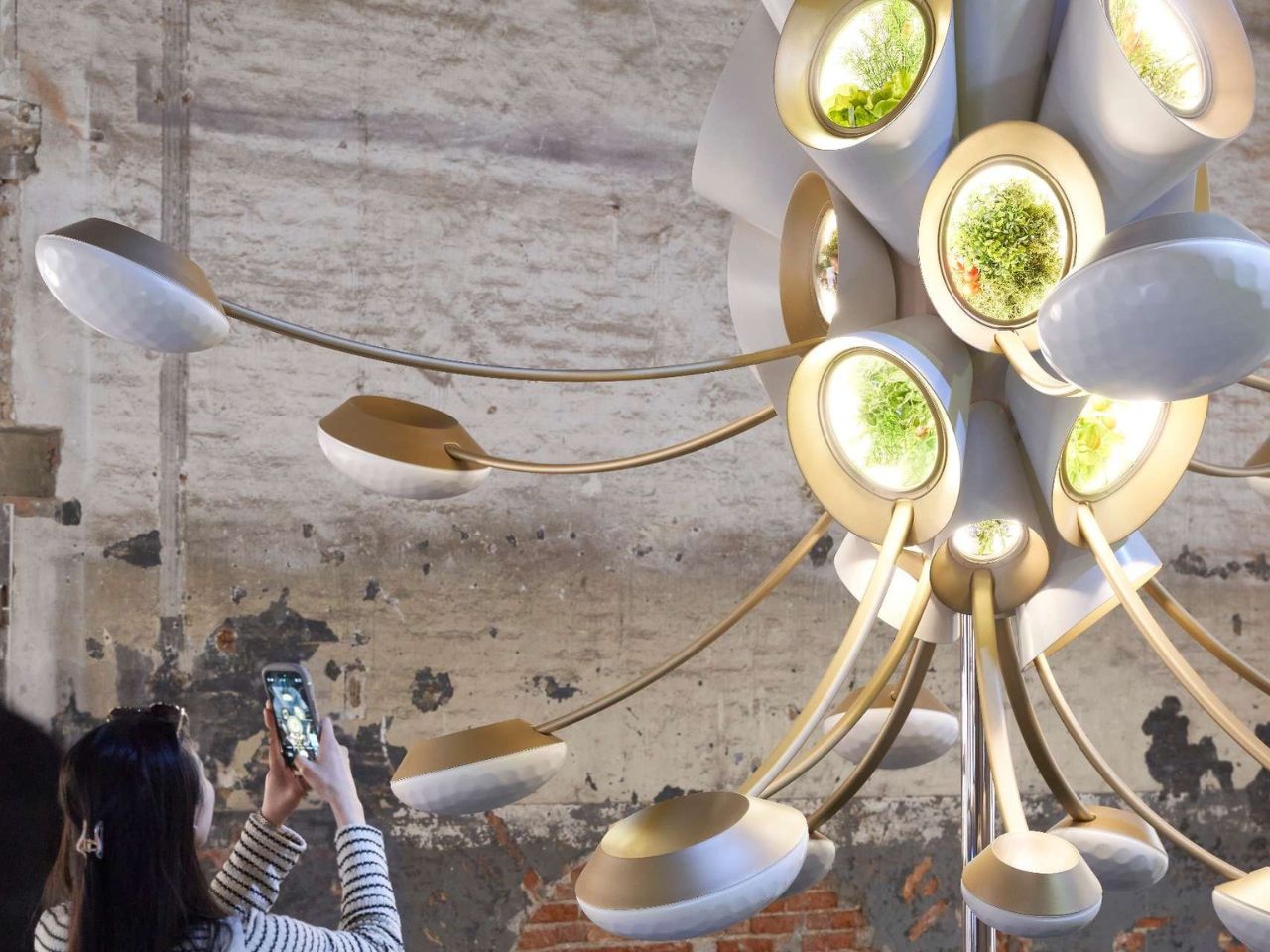 Space Garden，environmental design，Space Garden，Plant Equipment，