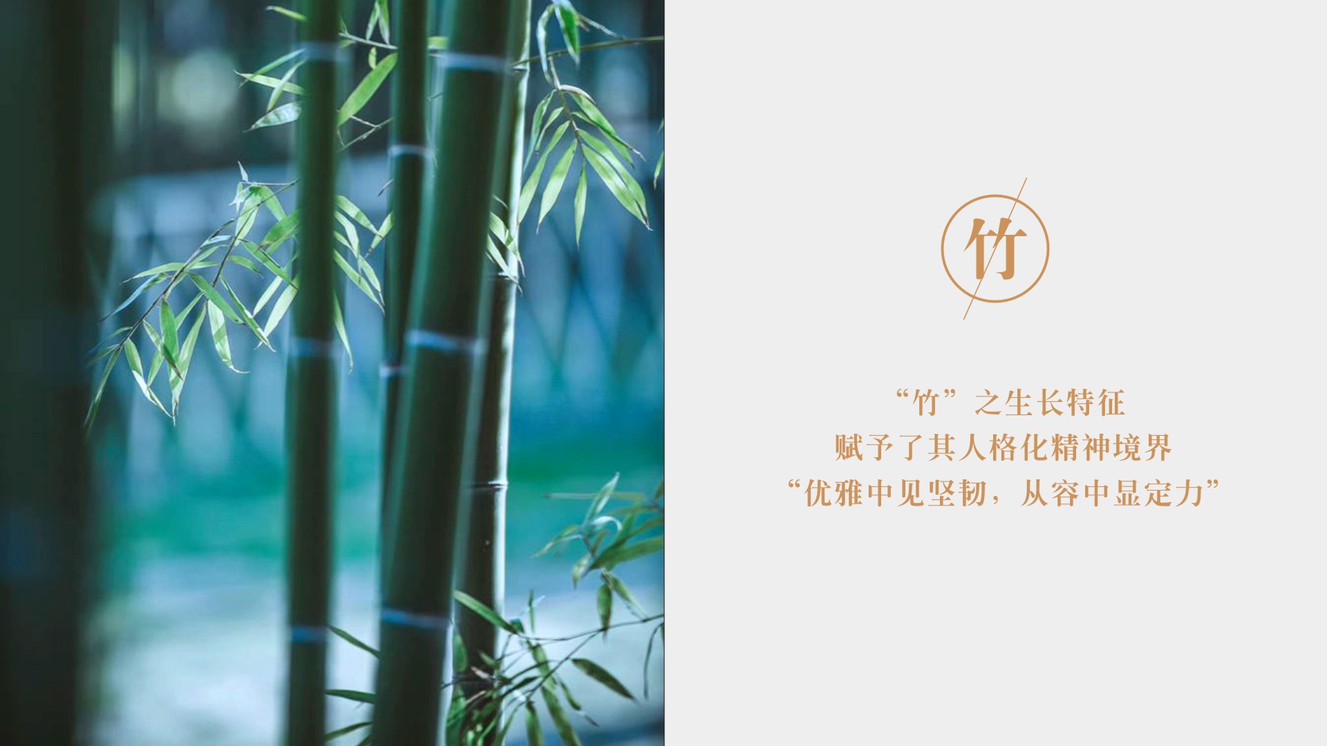 Brandy Packaging Design，Gu Yi design，Bottle design，